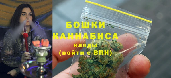 гидропоника Медногорск