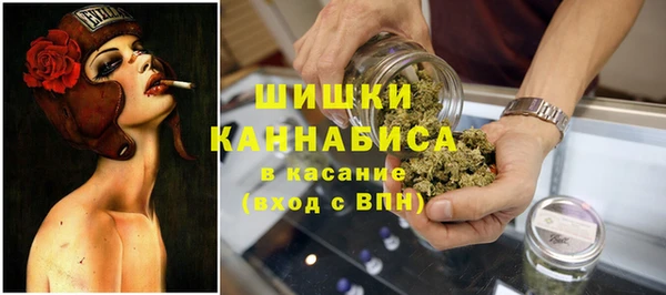 гидропоника Медногорск
