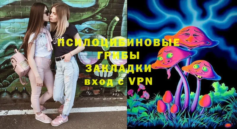 как найти закладки  Куса  omg ONION  Галлюциногенные грибы Psilocybe 